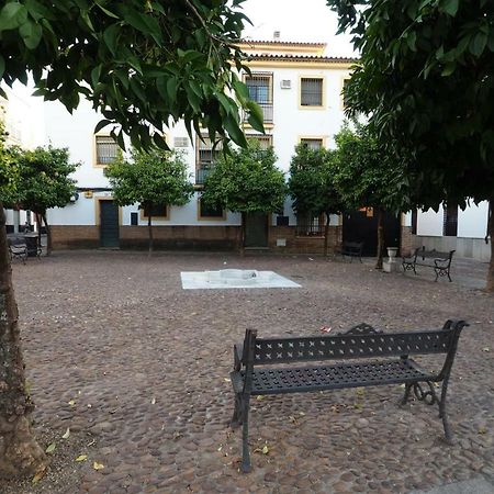 Calle Abejar,Plaza Córdoba Exteriör bild